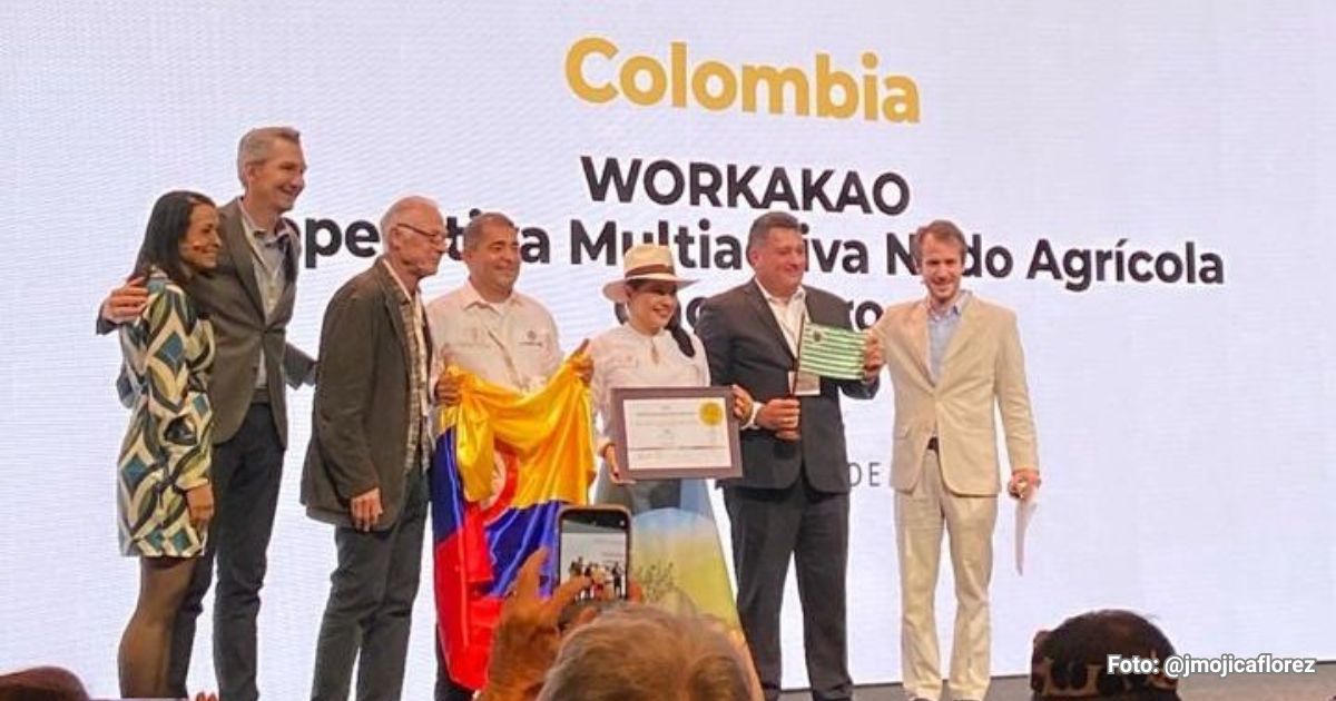 En Países Bajos, Colombia demostró que tiene uno de los mejores cacaos del mundo