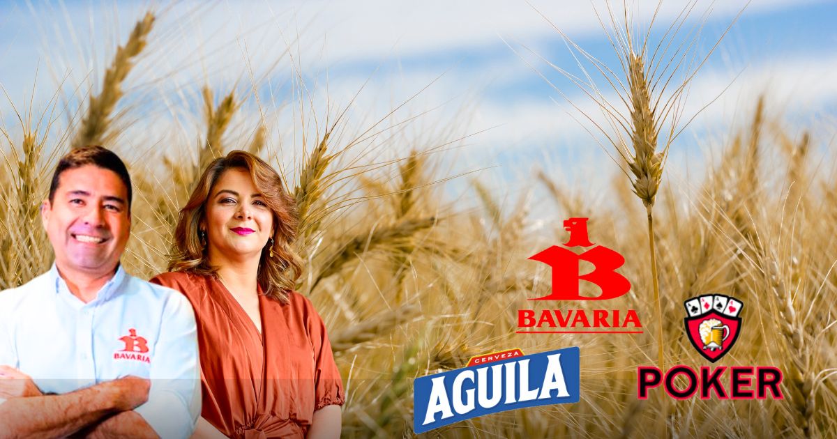 Bavaria le quiere apostar a la cebada boyacense para la producción de su cerveza