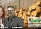 Un empresario de la India y una costeña mandan en la exportación de madera colombiana