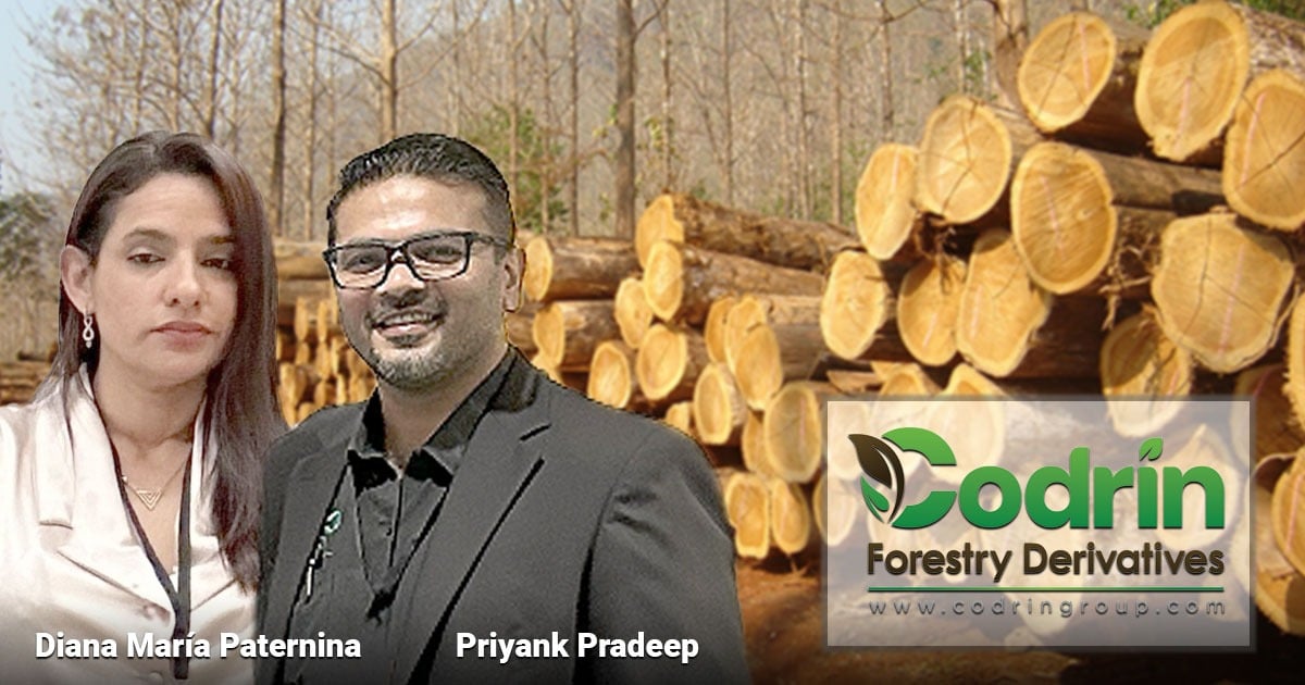 Un empresario de la India y una costeña mandan en la exportación de madera colombiana