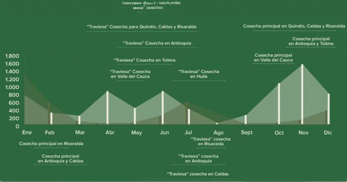 Producción anual de aguacate