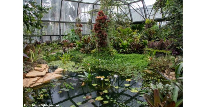 Jardín Botánico: planes fascinantes para hacer en febrero y uno es gratis - -- Las2orillas Jardín Botánico