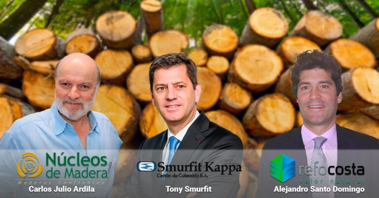  - Madera colombiana: negocio en el que juegan Santo Domingo y Ardila, pero mandan irlandeses