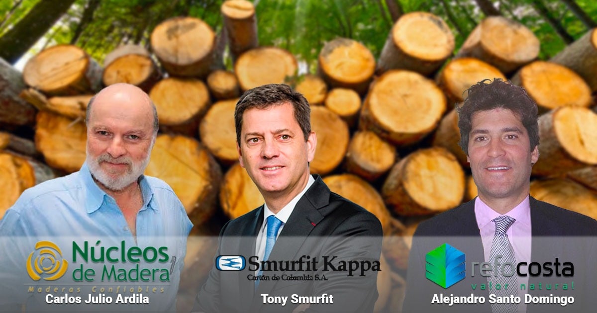 Madera colombiana: negocio en el que juegan Santo Domingo y Ardila, pero mandan irlandeses