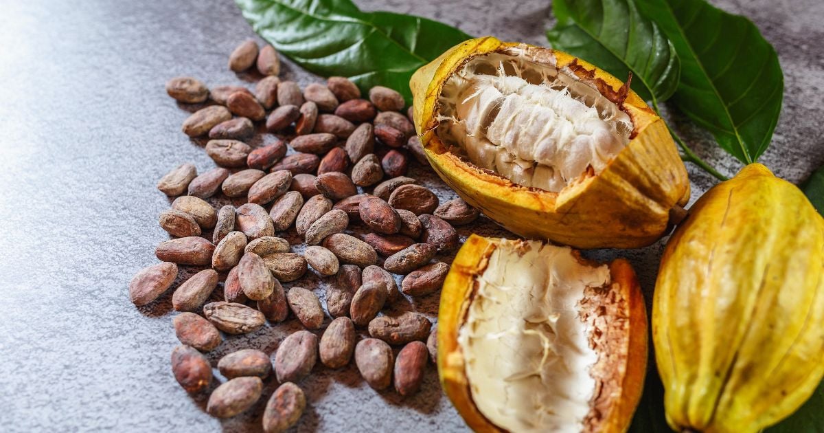 El fruto colombiano que es considerado como el mejor del mundo; con él se preparan muchas delicias