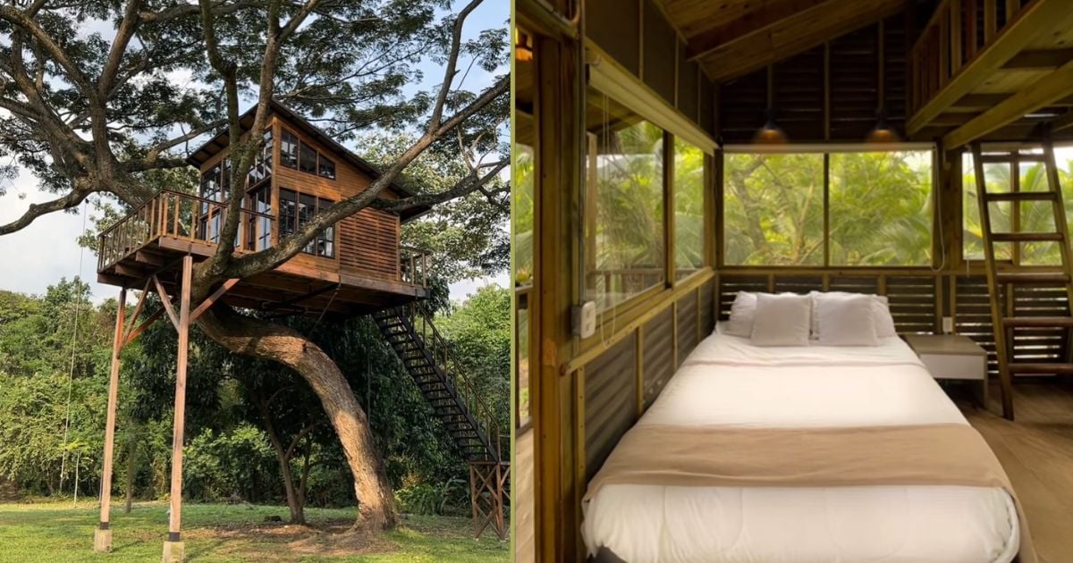 Así podrá vacacionar en una casa del árbol de ensueño y hacer canotaje; a solo dos horas de Bogotá
