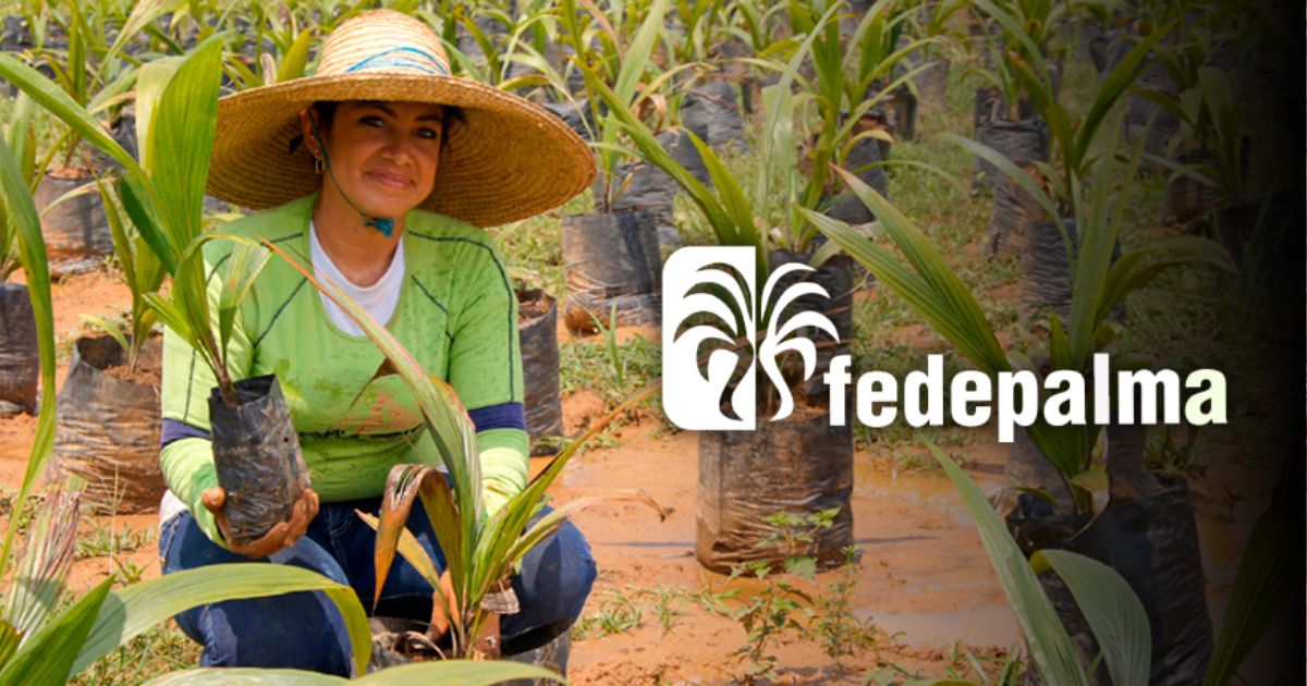 En Fedepalma están buscando trabajadores y tienen salarios de hasta $12 millones