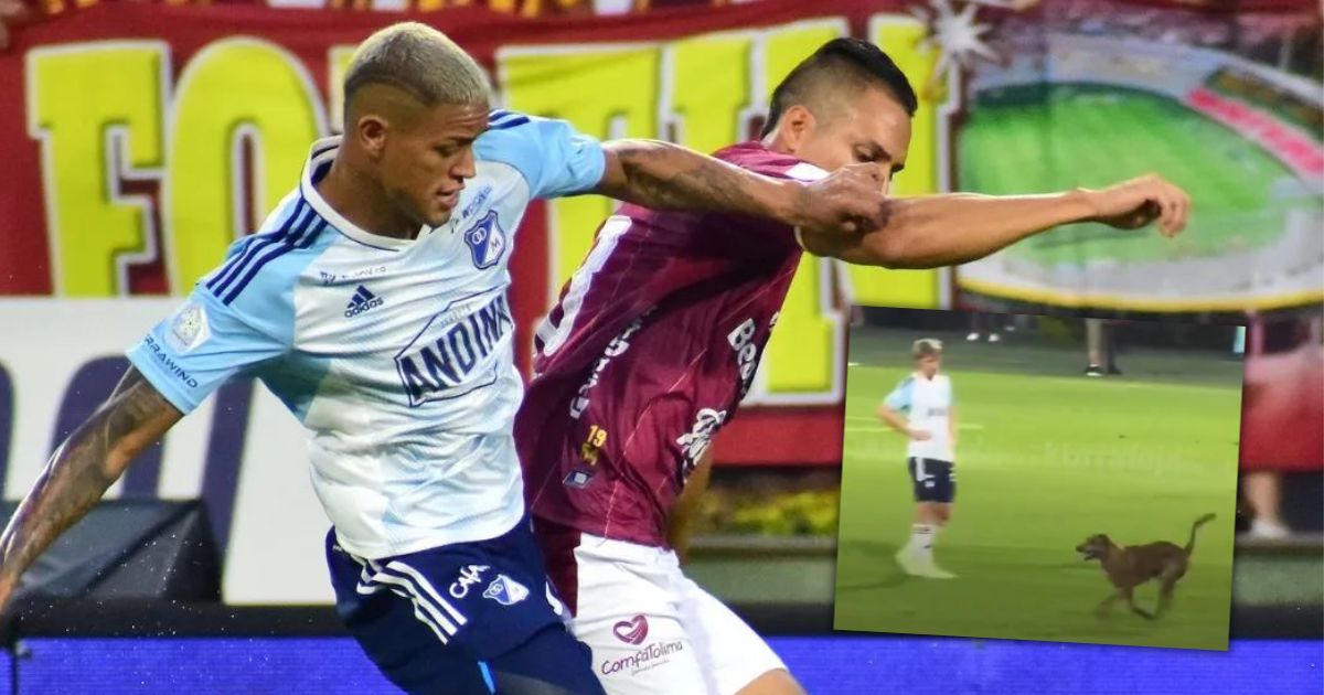 La millonaria multa que pagan los equipos de la Liga BetPlay a los que se les cuela un perro en la cancha