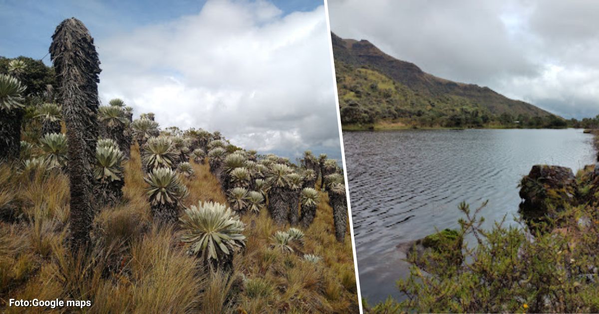 Cuál es el páramo más bello del mundo y cómo se puede conocer; está a solo dos horas de Bogotá