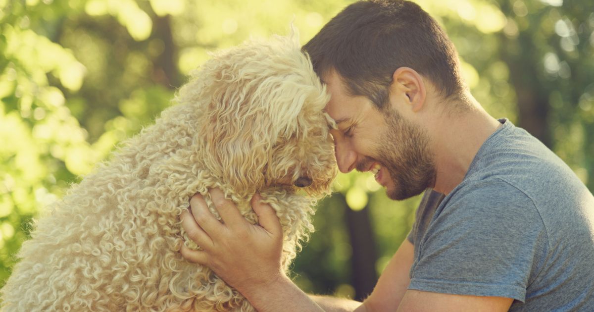 Las 4 señales de que su perro lo ve como el líder la manada