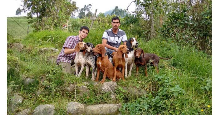 raza de perro colombiana