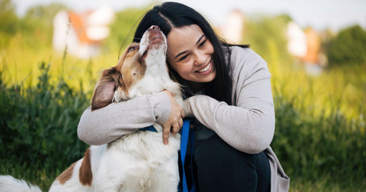 Estas son las seis universidades que reciben mascotas; debe cumplir ciertos requisitos