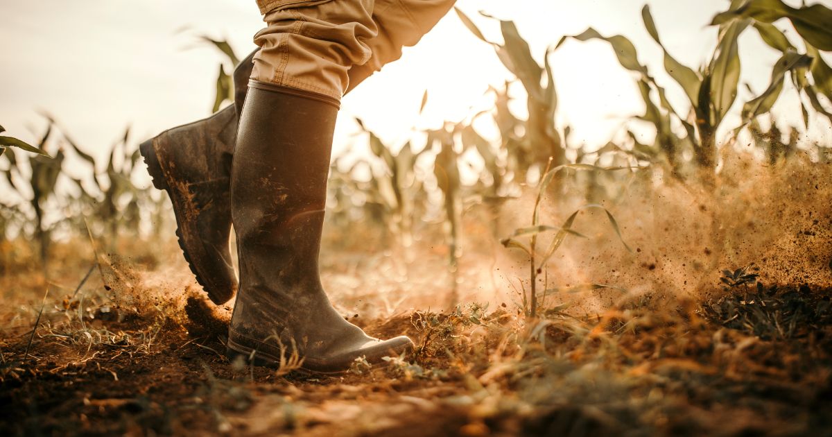 Jóvenes reclutados: lejos de todo y sin esperanzas