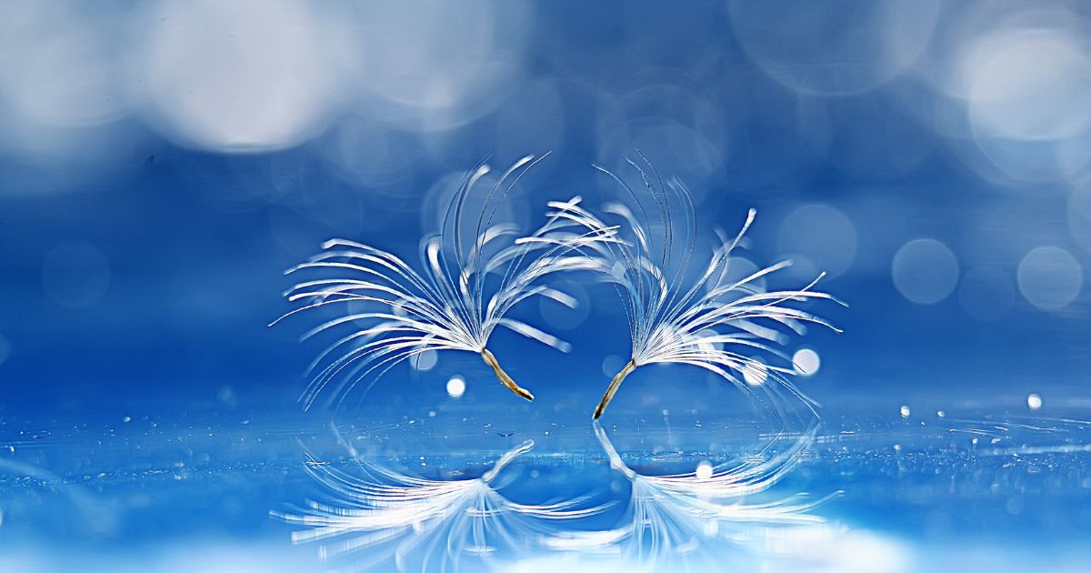 A propósito de la COP16, démosle la bienvenida a una quinta revolución espiritual