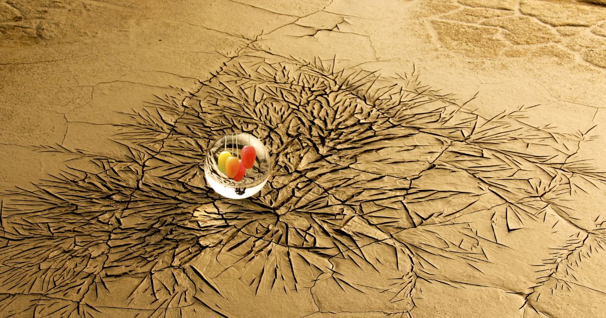 La guerra del agua, entre la vida humana y los intereses corporativos