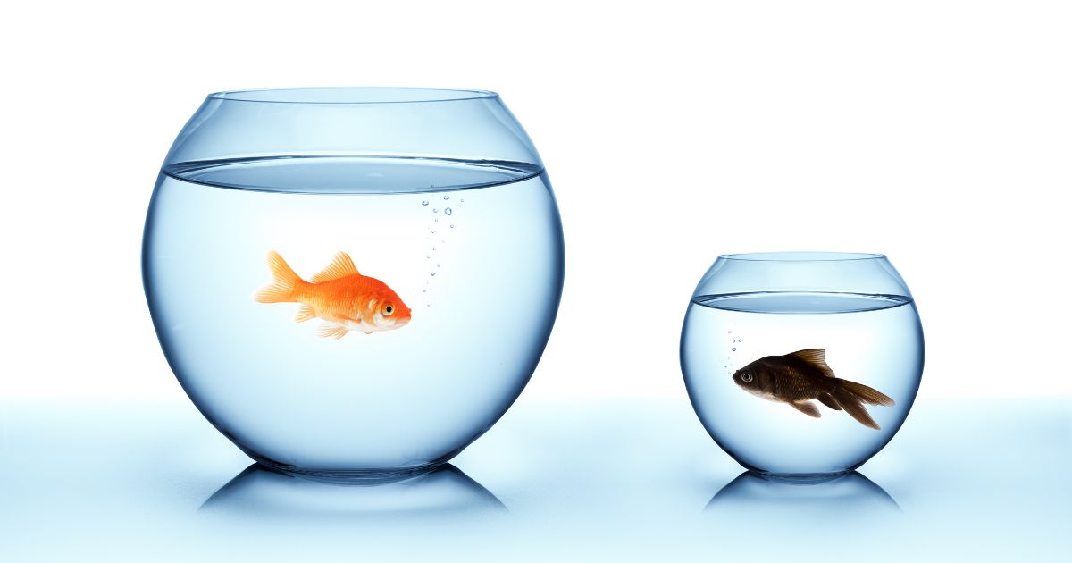 El delito de la Merlano: ¿peor que, por ejemplo, Emilio Tapia y su cartel de la contratación?