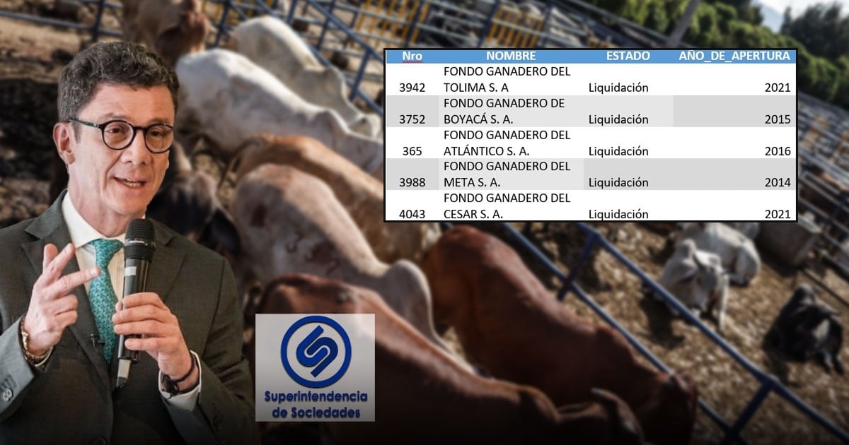 Así fue el triste final de los fondos ganaderos: de 24 solo queda uno