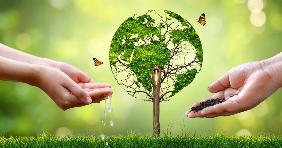 Así será la decimosexta sesión de la Conferencia de las Partes COP16