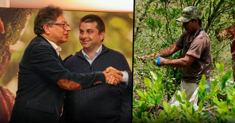 Gilinski-cacao - Gabriel Gilinski sembrará cacao en zonas cocaleras ¿por qué?