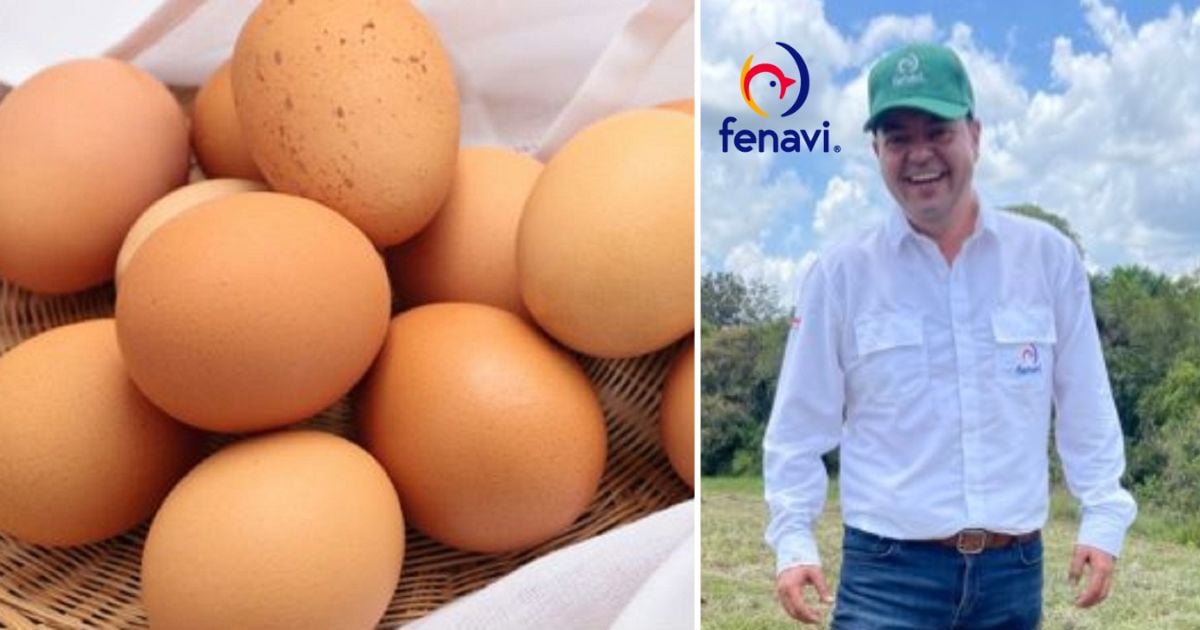 El abogado que logró mandar 500 mil huevos a Cuba