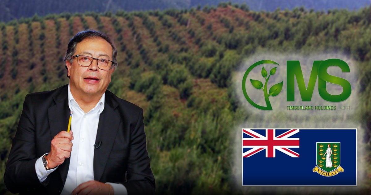 La misteriosa empresa extranjera que compra tierras en Colombia sin saberse para quién