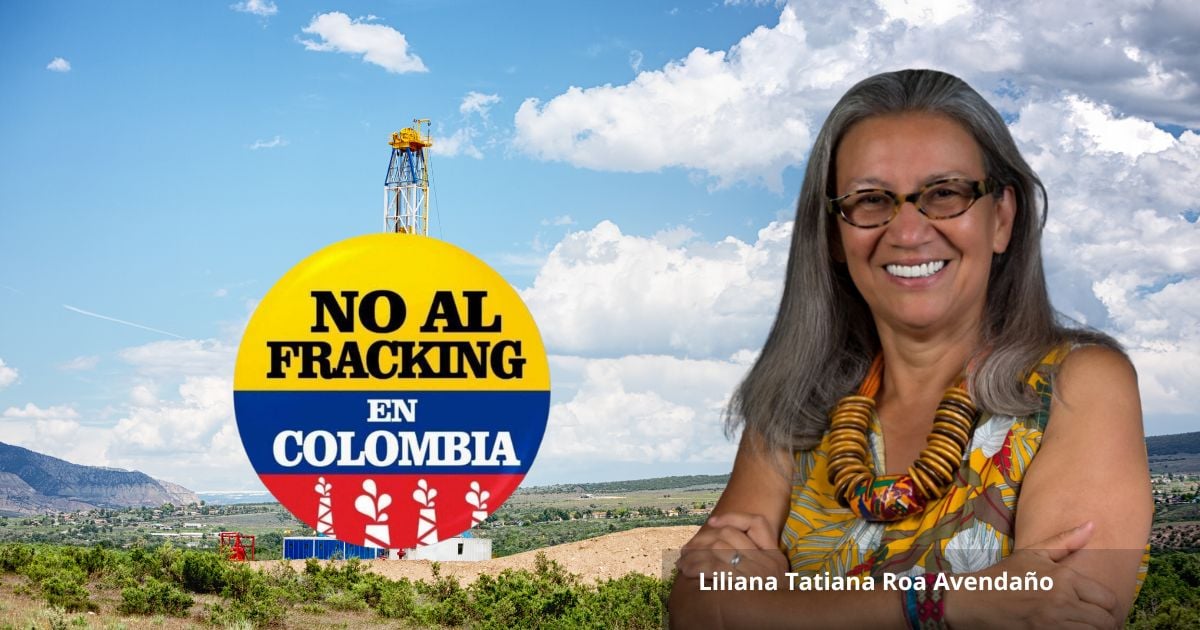 Description: Una dura activista ambientalista y anti fracking llega a la junta de Ecopetrol