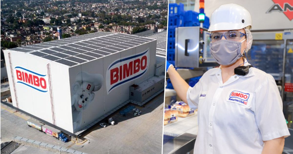 Bimbo, la empresa que más vende pan en Colombia, está buscando empleados en varias ciudades del país