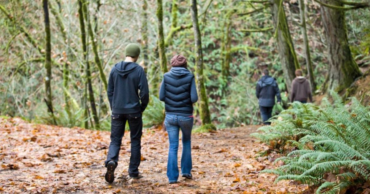 Así es la galería de arte que puede encontrar en uno de los cerros más famosos de Bogotá