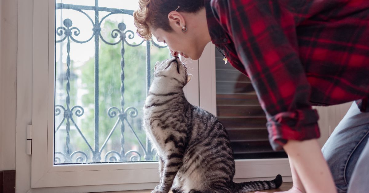 Este es el tiempo que los gatos tardan en olvidar a sus dueños