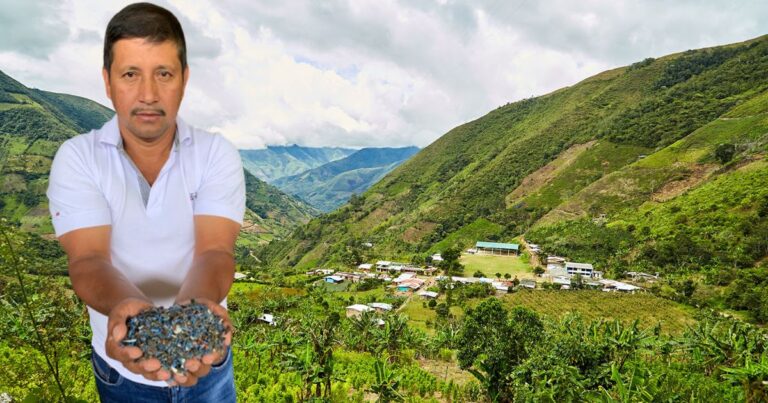  - Campesinos dejan la coca para convertir residuos en madera