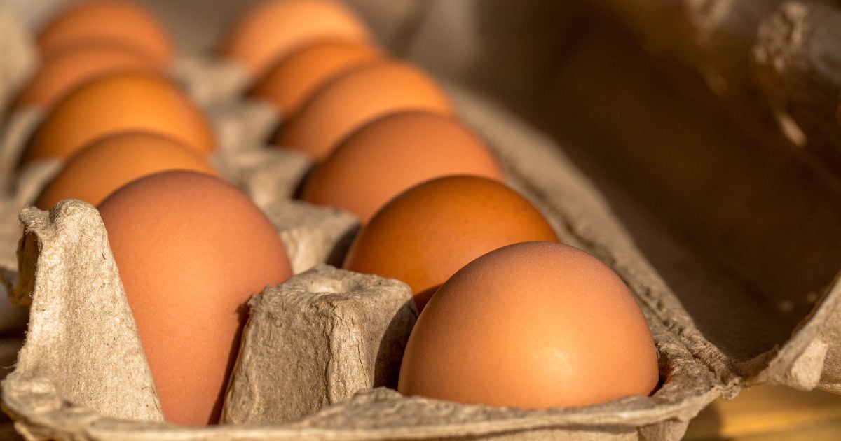 La verdadera diferencia entre los huevos A, AA y AAA ¿vale la pena pagar más?