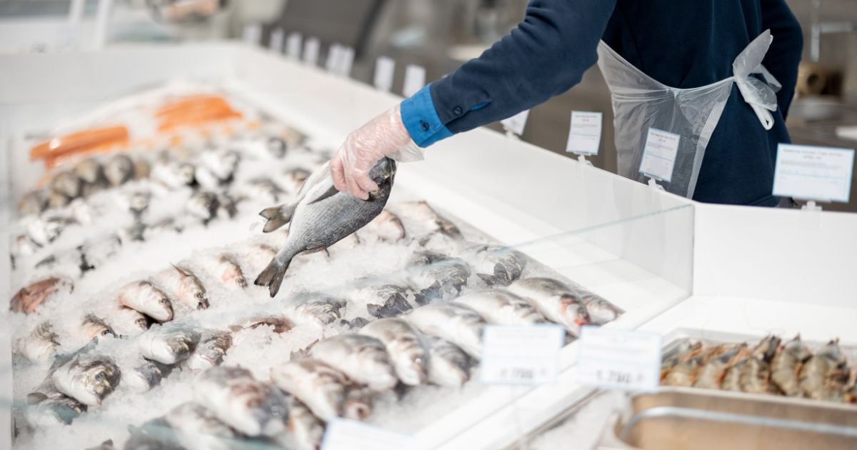 ¿Los precios del pescado subieron en Semana Santa? Esta es la verdad