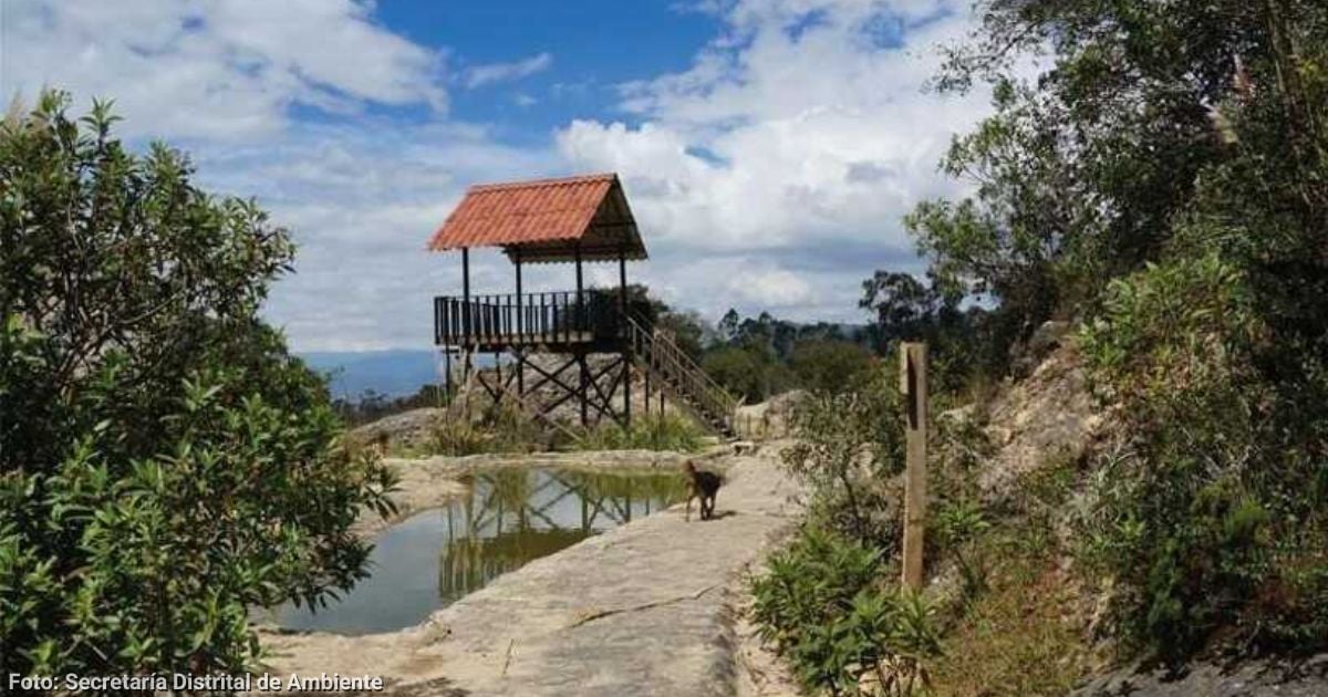 El sendero poco conocido en los cerros de Bogotá para conectarse con la naturaleza