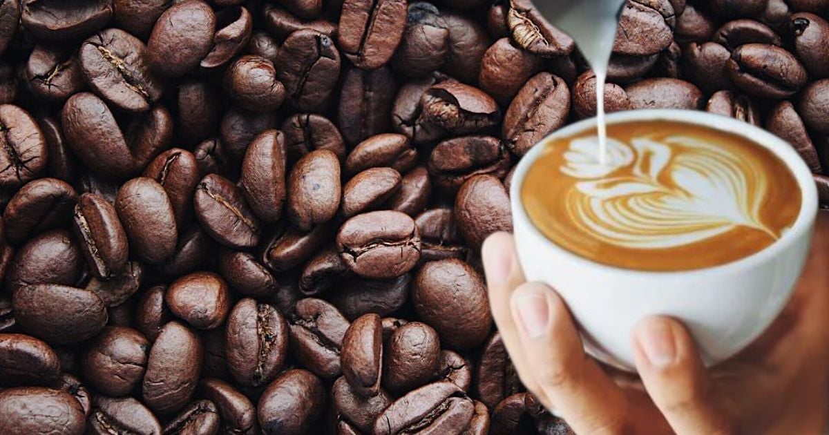 Los 6 increíbles cafés de la costa caribe que debe probar antes de morir