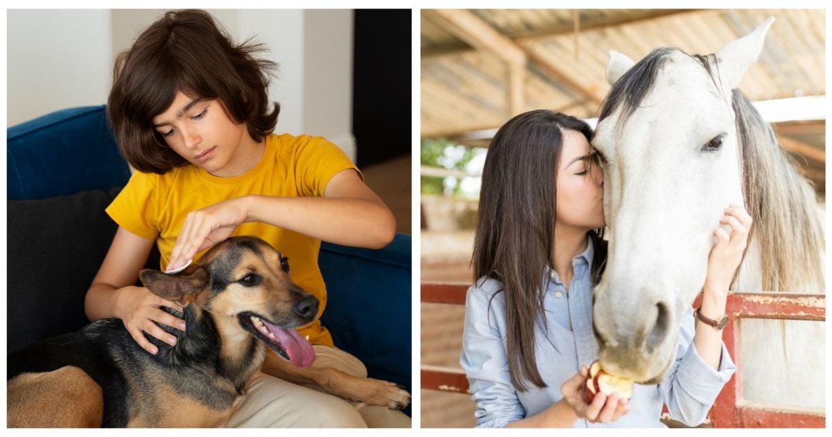 Terapia asistida: cuando perros y caballos 'curan' a víctimas de violencia o niños discapacitados
