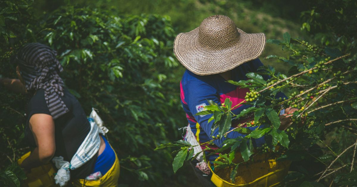 Es hora de acabar con la ola de violencia en Colombia