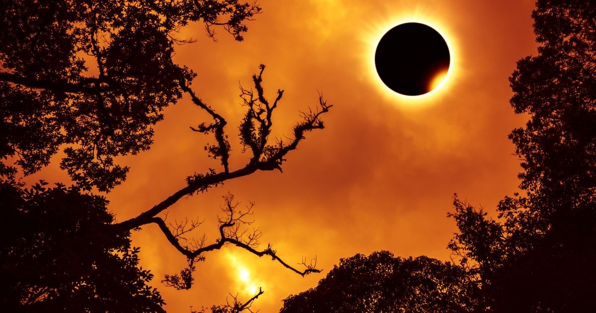 Los reveladores hallazgos del profesor de Astronomía que viaja por el mundo cazando eclipses