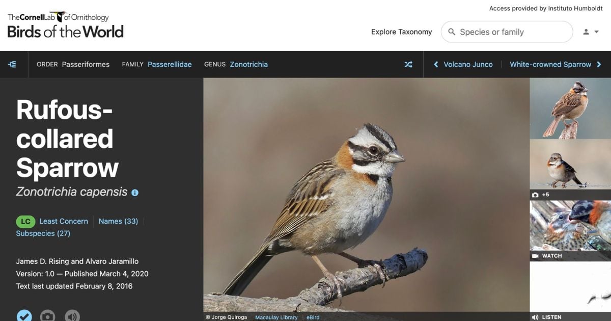 La plataforma Birds of the World ahora es de acceso gratuito para Colombia 