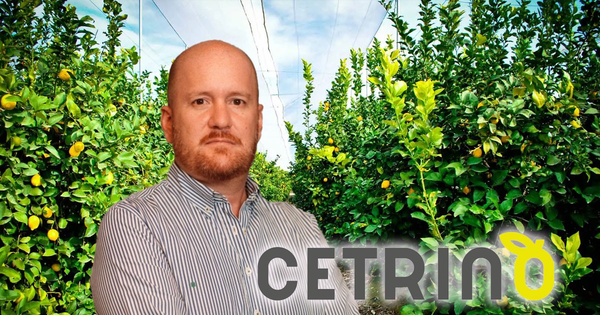 El colombiano que prepara 500 contenedores de limón Tahití cultivado en el Eje Cafetero