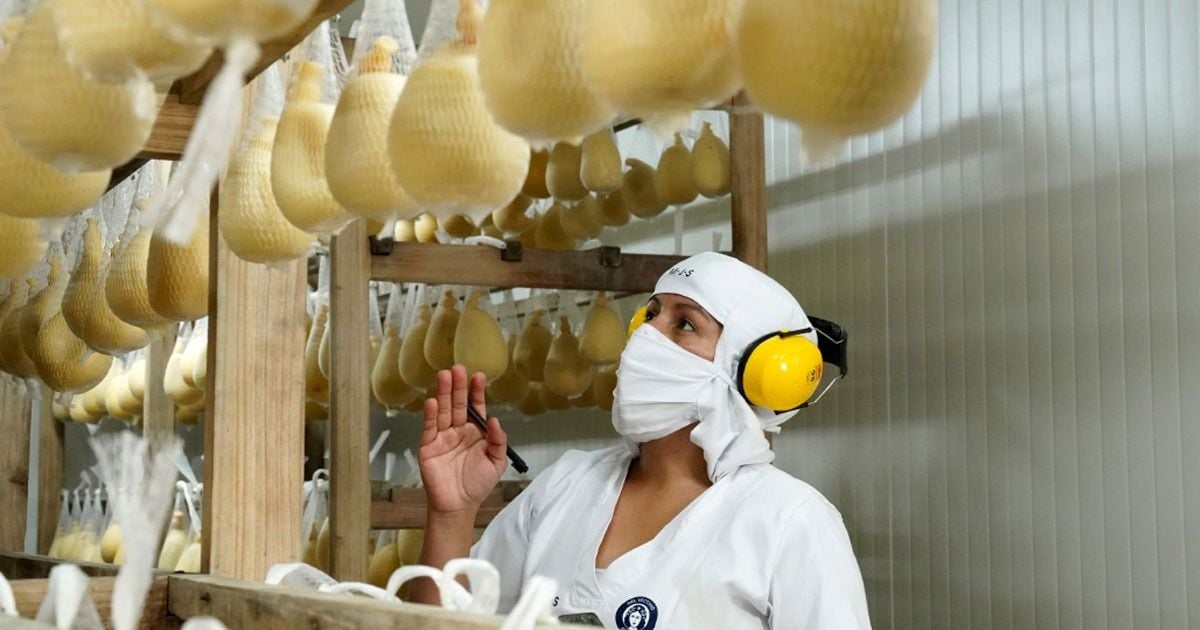 Del Vecchio, una imparable marca de quesos que salió del popular barrio Ricaurte de Bogotá - -- Las2orillas Del Vecchio