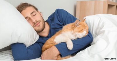 dormir con gatos