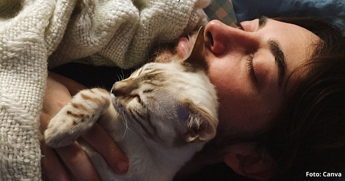 ¿Es malo dormir con gatos todas las noches? Esto dicen los expertos - -- Las2orillas dormir con gatos