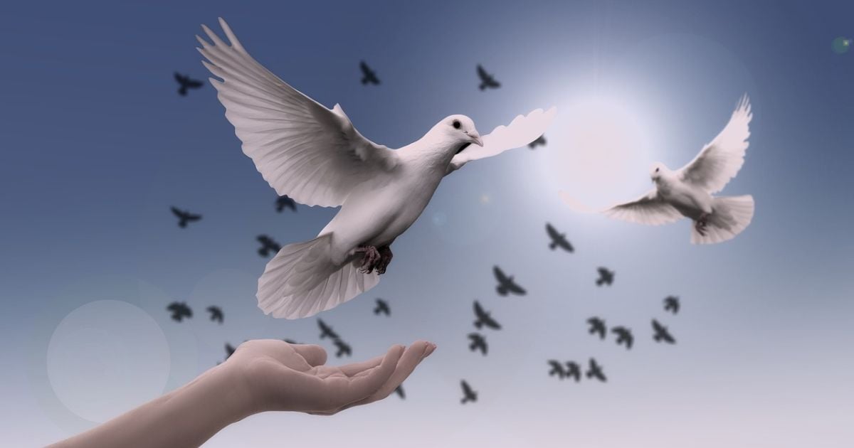 Reflexiones sobre la seguridad en Colombia y la Paz Total