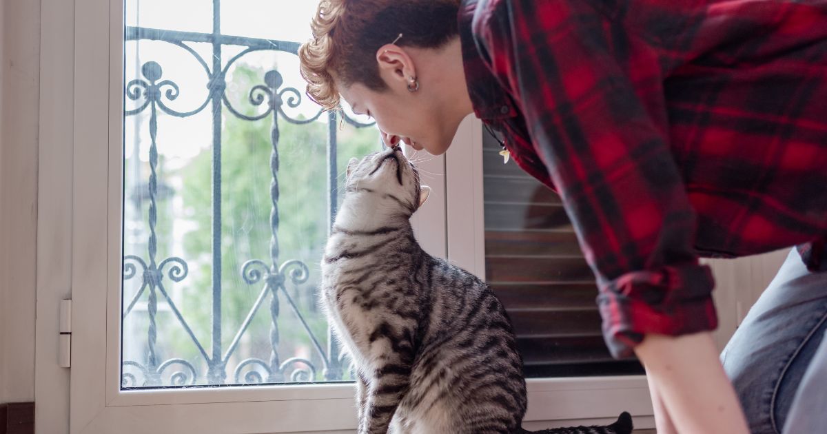 Está estresado y sus gatos lo saben; estas son las 4 formas en que se lo demuestran