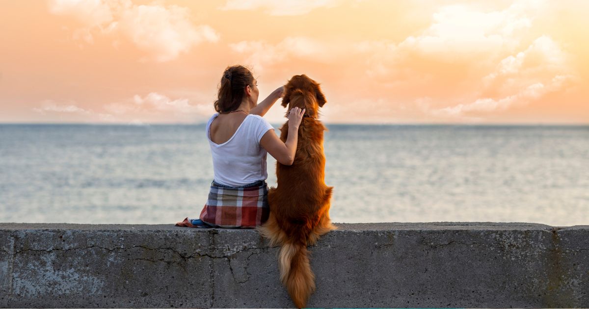 ¿Por qué es casi imposible que los perros olviden a sus dueños? Esto dicen los expertos