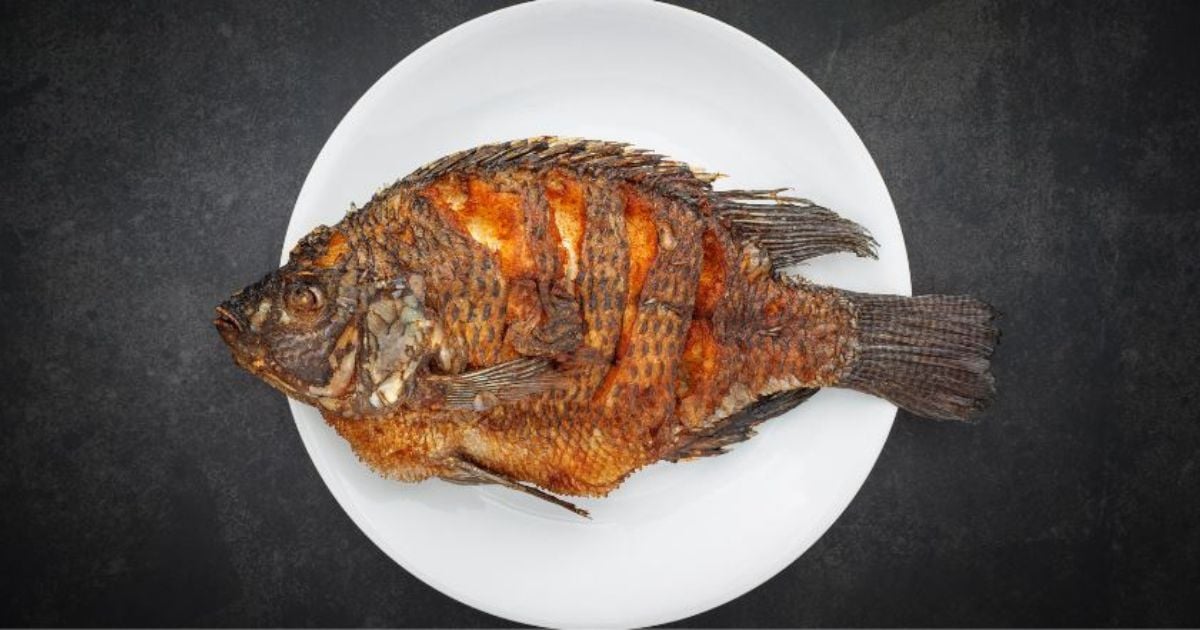 FilBo 24: El Gabriel García Márquez del pescado frito, los patacones y las carimañolas