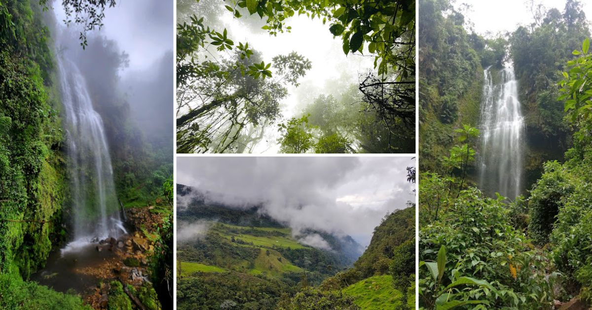 La reserva natural poco conocida que queda a una hora de Bogotá y es todo un oasis