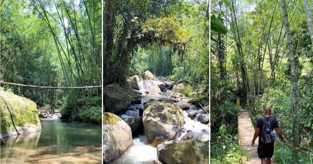 El mágico río en medio de bosques de bambú que queda a solo dos horas de Bogotá