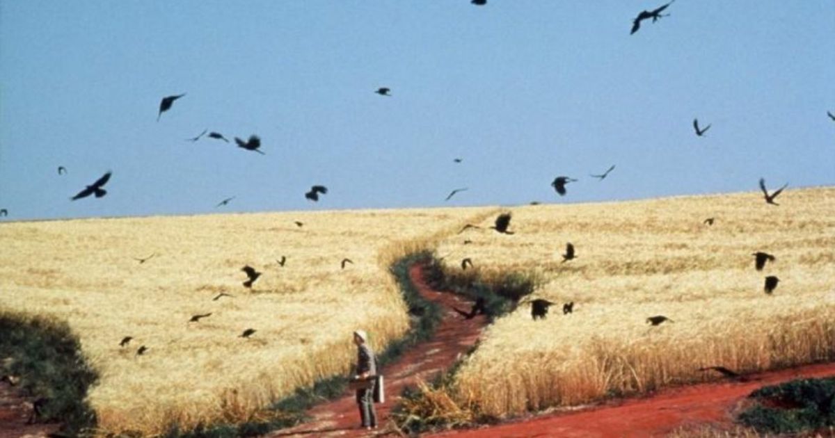 Los sueños de Akira Kurosawa (1990): El equilibrio entre actividad onírica y soñar en la vigilia