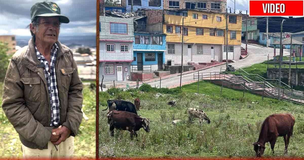 El campesino que vive con 30 vacas al interior de su casa en el sur de Bogotá